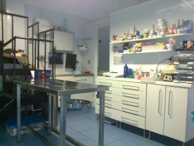 Medicina interna - Laboratorio - Veterinaria Trieste