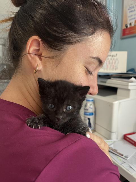 Mimmo, un gattino nero in braccio