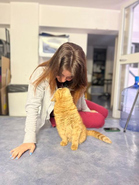 Un gatto rosso coccolato sul pavimento