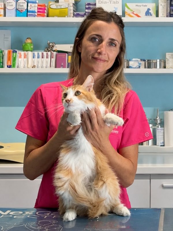 Chiara Di Salvo